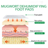 Deep cleansing foot pads Body Toxin Detoxification Weight Loss Improve Sleep Relieve Fatigue Herbal detox foot patches